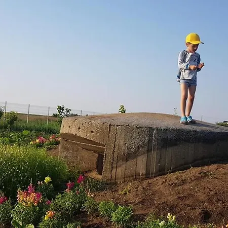 Villa La Matraguna *