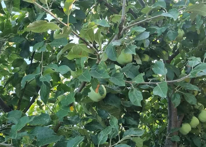 La Matraguna Villa Tuzla