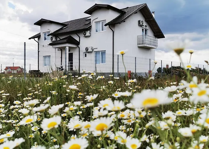 Vilă La Matraguna *